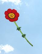 54- Fleur - Jos Valcke w